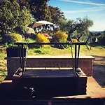 Casa de Campo Flores Amarillas *