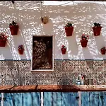 Casa de Campo Flores Amarillas Almoharin