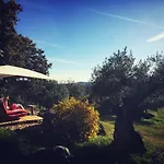 Casa de Campo Flores Amarillas