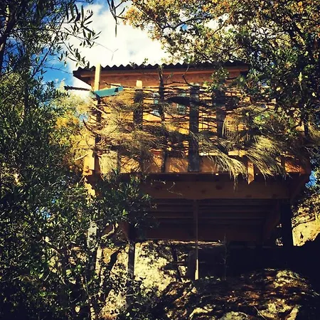 Landhaus Flores Amarillas