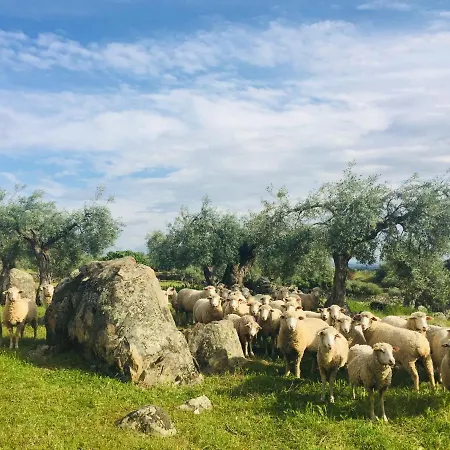 Casa Rural Flores Amarillas Casa rural