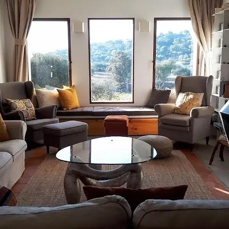 Flores Amarillas Almoharin