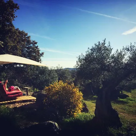 Landhaus Flores Amarillas