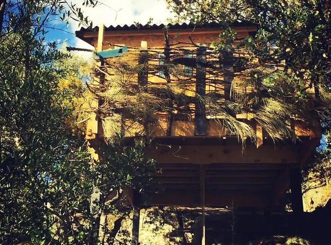 Casa rural Casa Rural Flores Amarillas