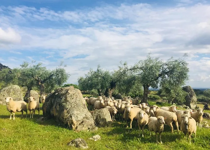 Casa Rural Flores Amarillas Casa rural