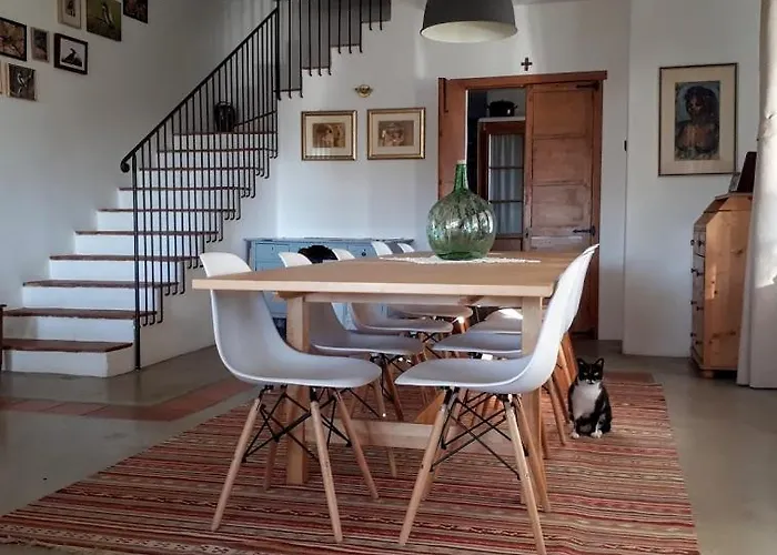 Casa Rural Flores Amarillas Casa rural