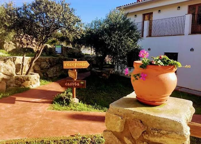 Casa Rural Flores Amarillas Almoharin