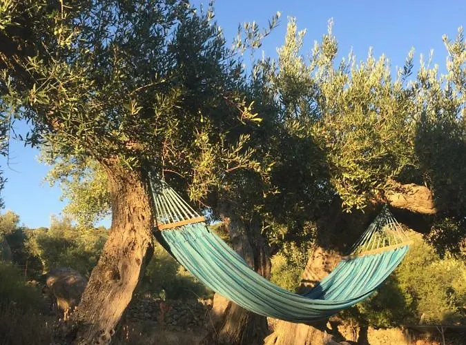 Casa Rural Flores Amarillas Almoharin