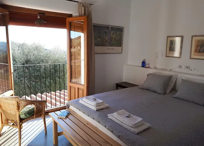 Casa rural Casa Rural Flores Amarillas