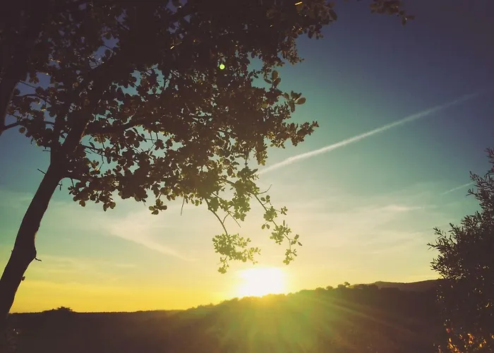 Casa Rural Flores Amarillas